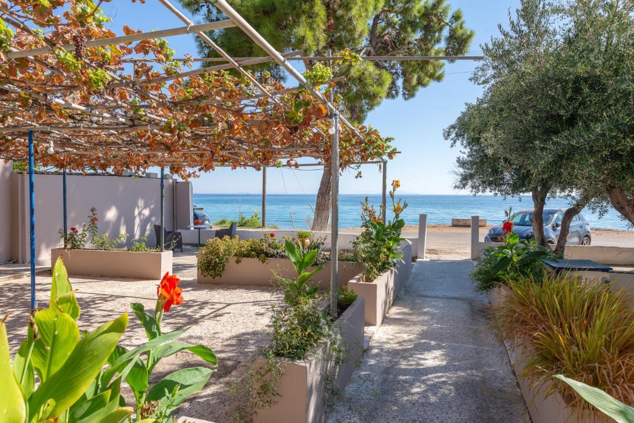 Akrogiali Studios Poros  Bagian luar foto